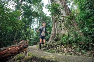 BIB: 
                            <button type="button" onclick="openModal(24809532)" class="btn btn-primary btn-sm float-right btn-popup" data-toggle="modal" data-target=".modal-high-quality">
                        <i class="fas fa-shopping-cart"></i> Add to Cart
                    </button>
                                            <button type="button" onclick="isThisMe(24809532, true)" class="btn btn-success btn-sm float-right btn-popup btn-isme hidden" data-toggle="tooltip" data-placement="bottom" title="นี่คือรูปของคุณใช่ไหม คลิกที่นี่เพื่อเอาเข้าอัลบั้ม">
                        <i class="fas fa-plus"></i> Add to album
                    </button>
                    <button type="button" onclick="isThisMe(24809532, false)" class="btn btn-warning btn-sm float-right btn-popup btn-isnotme hidden">
                        <i class="fas fa-ban"></i> Remove from album
                    </button>